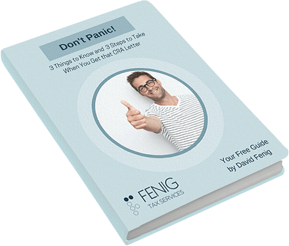 fenig-ebook